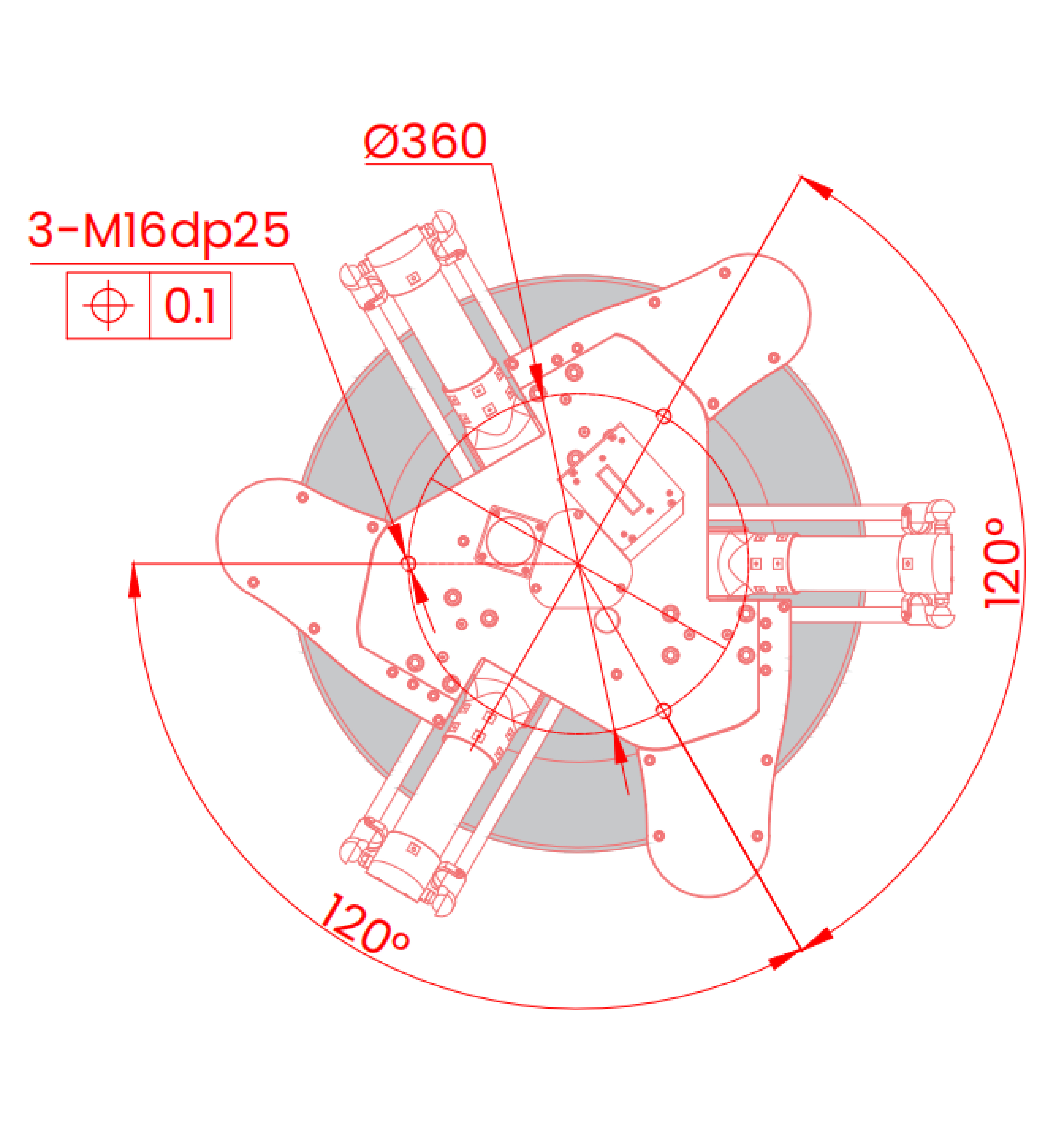 蓝月亮料免资料大全