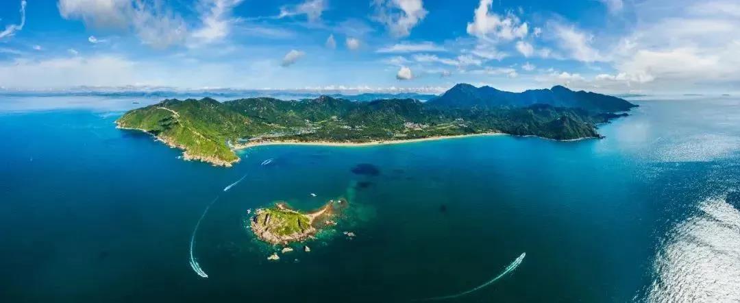 蓝月亮料免资料大全