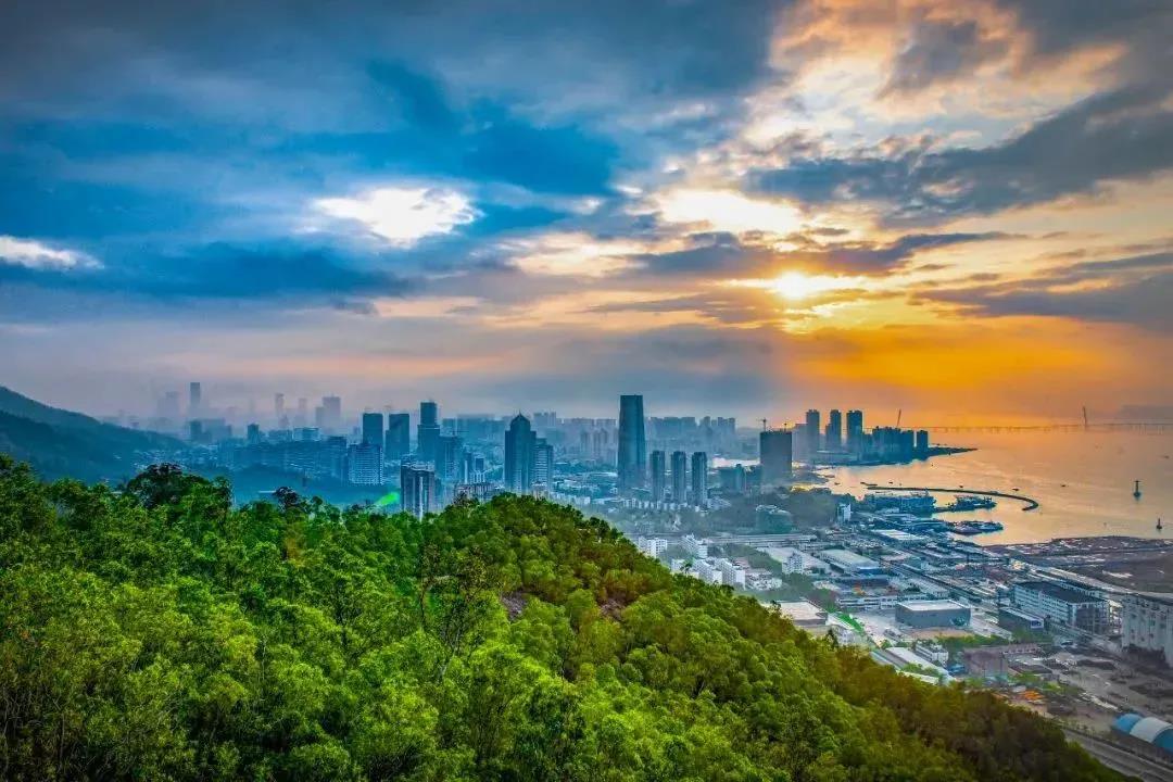 蓝月亮料免资料大全