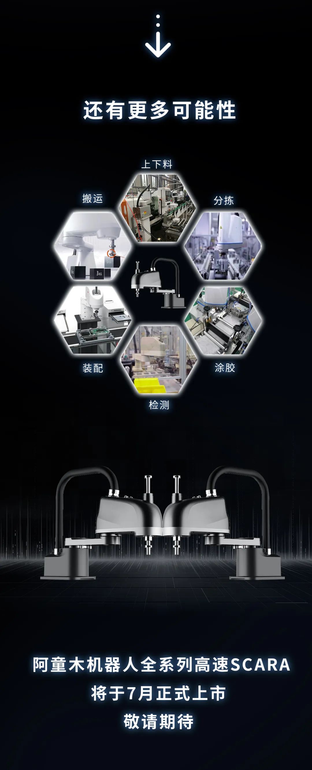 蓝月亮料免资料大全