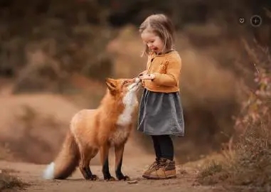 蓝月亮料免资料大全