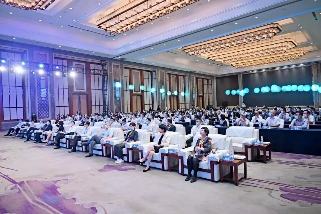 蓝月亮料免资料大全