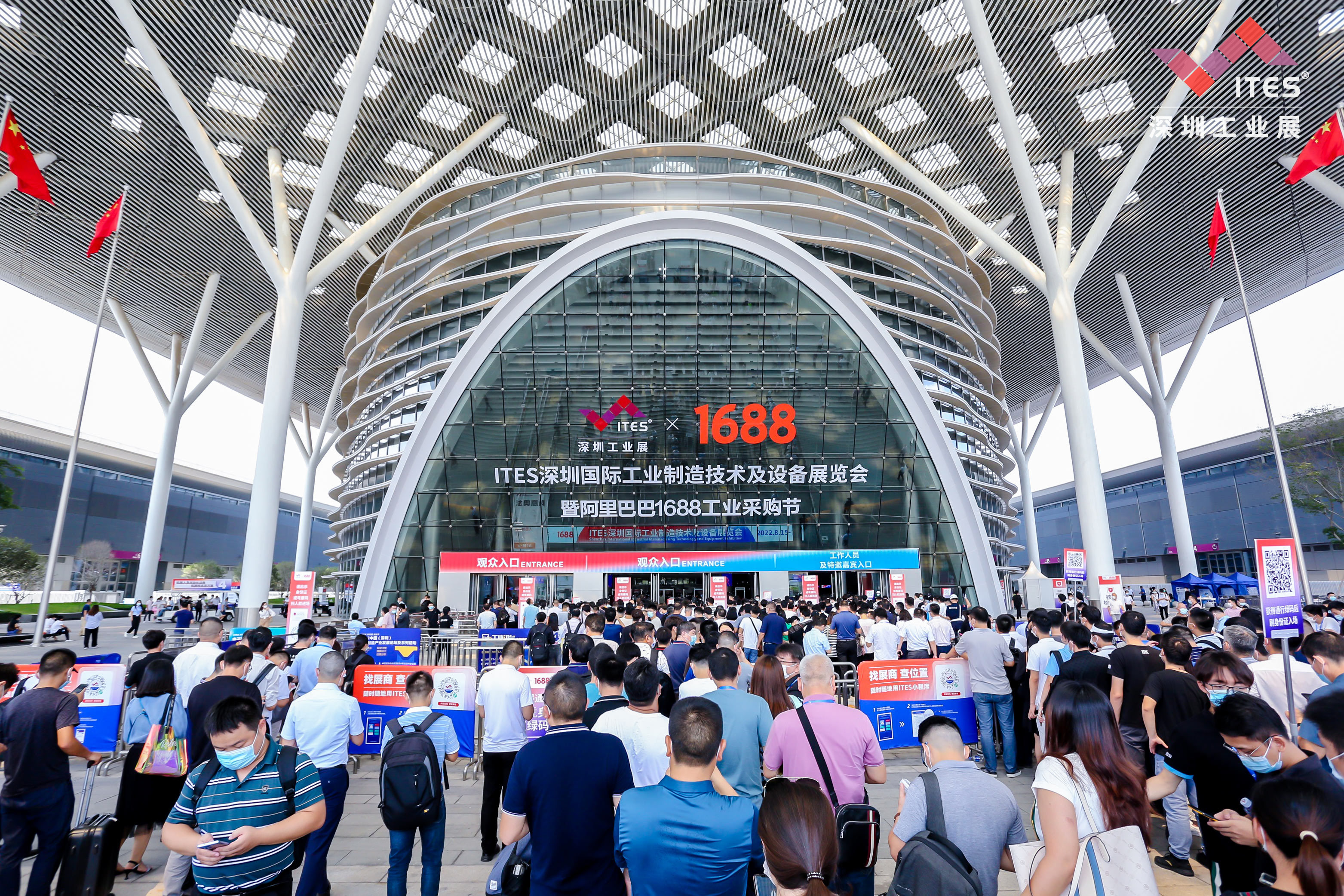 蓝月亮料免资料大全