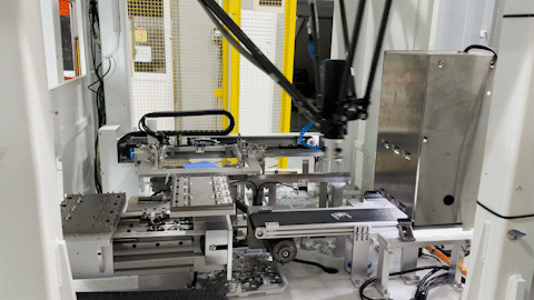 蓝月亮料免资料大全