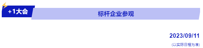 蓝月亮料免资料大全