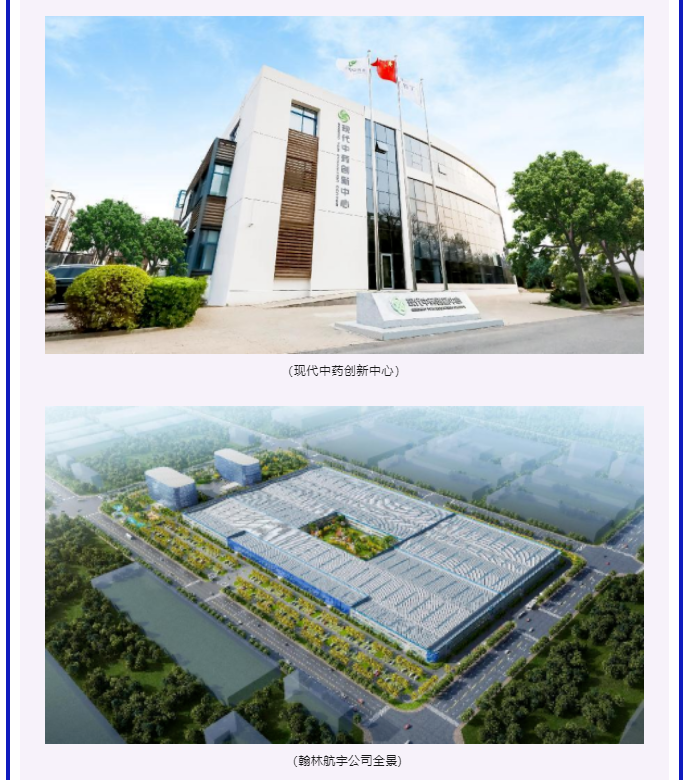 蓝月亮料免资料大全