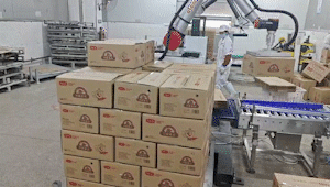 蓝月亮料免资料大全