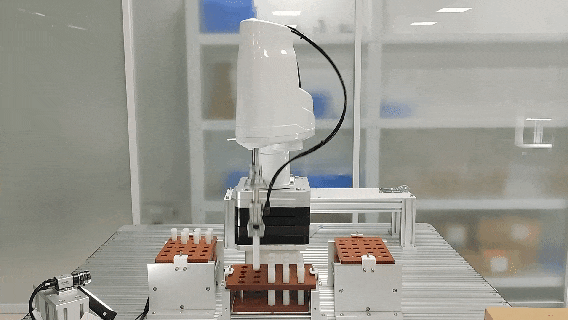 蓝月亮料免资料大全