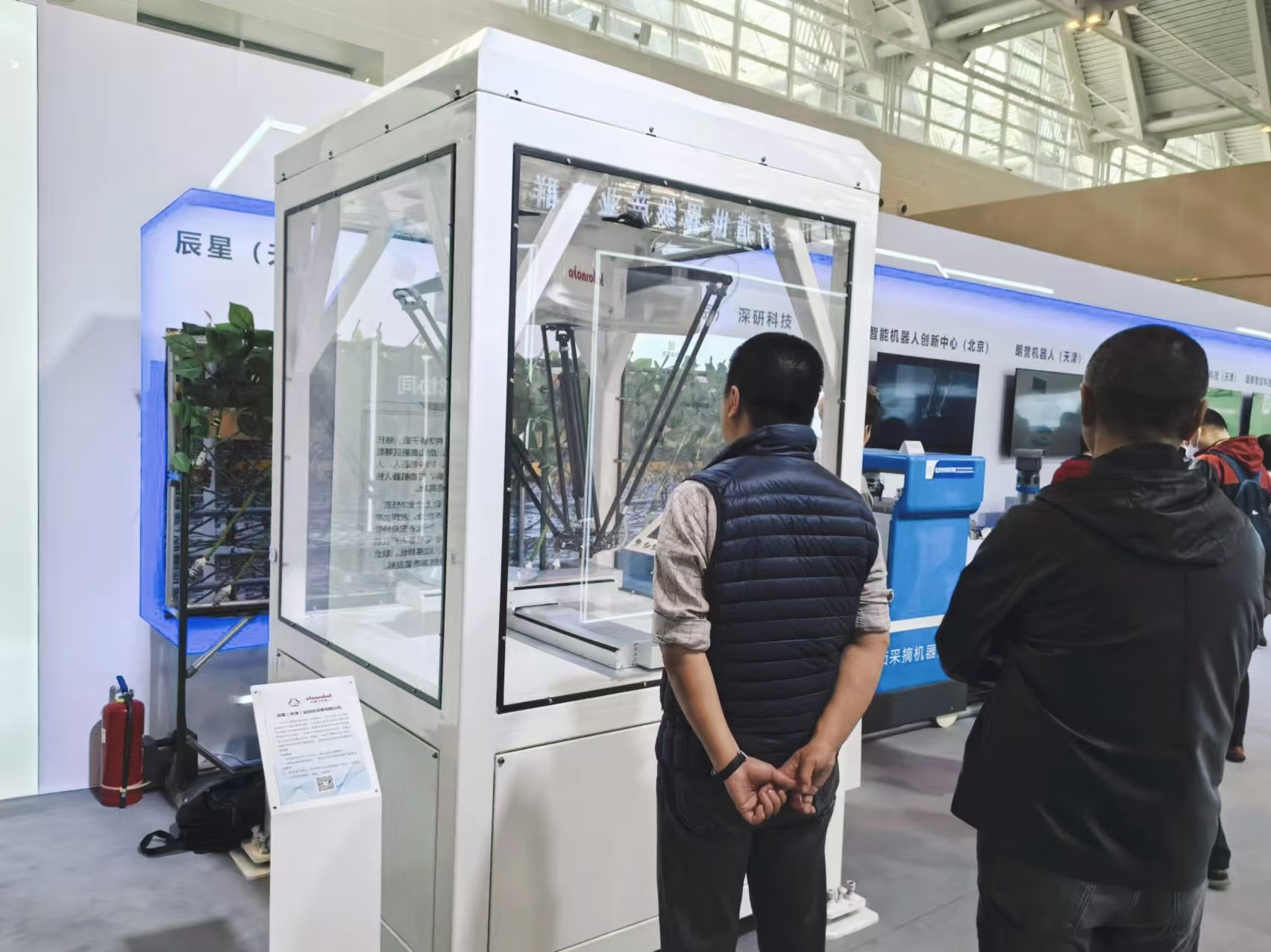 蓝月亮料免资料大全