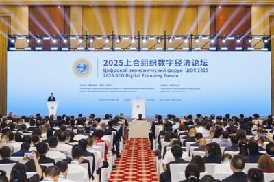 蓝月亮料免资料大全