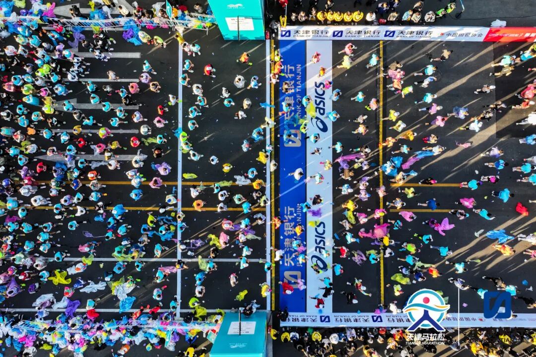 蓝月亮料免资料大全