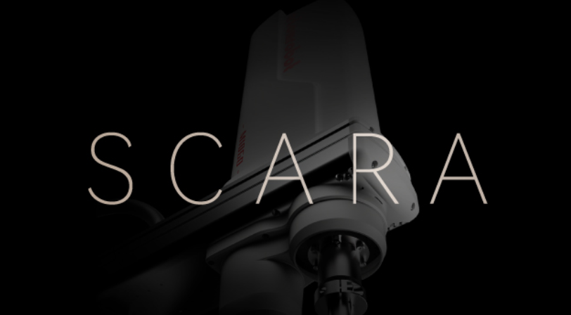 蓝月亮料免资料大全