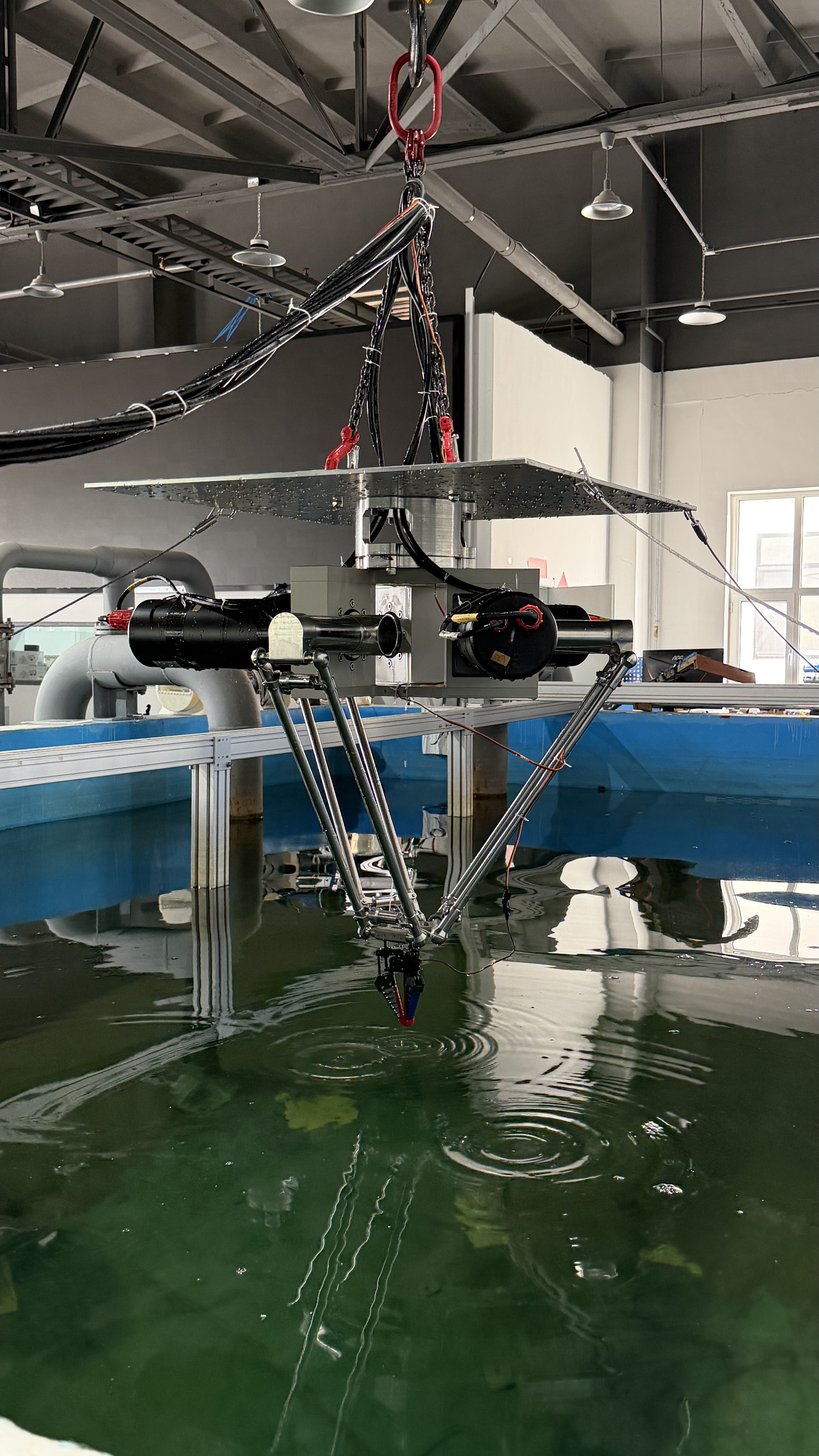 蓝月亮料免资料大全