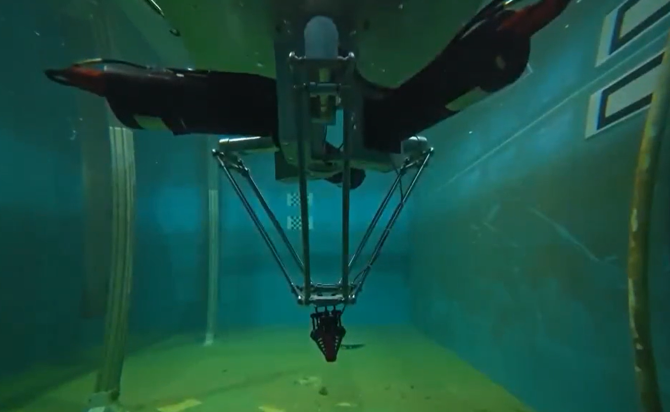 蓝月亮料免资料大全