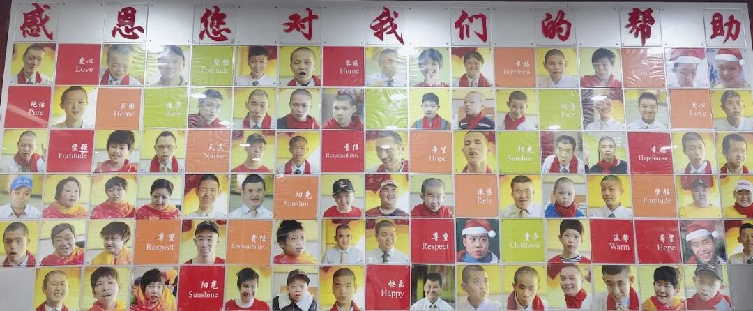 蓝月亮料免资料大全