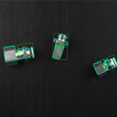 蓝月亮料免资料大全