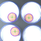 蓝月亮料免资料大全